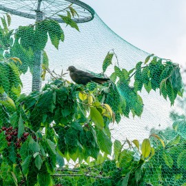 Növényvédő háló